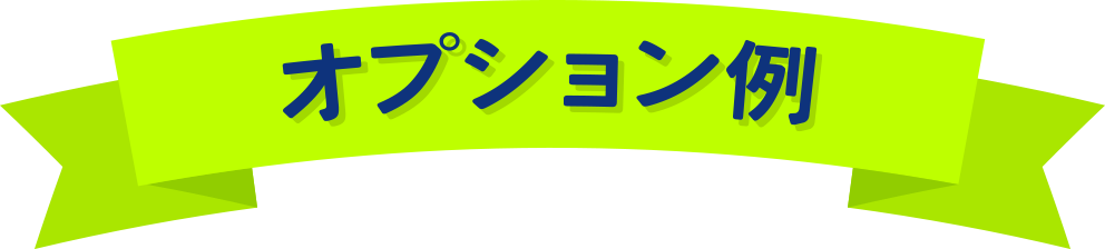 オプション例
